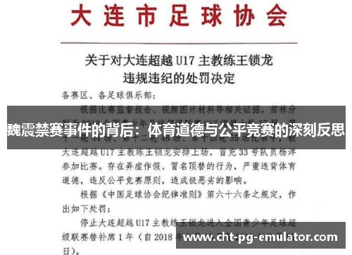 魏震禁赛事件的背后：体育道德与公平竞赛的深刻反思
