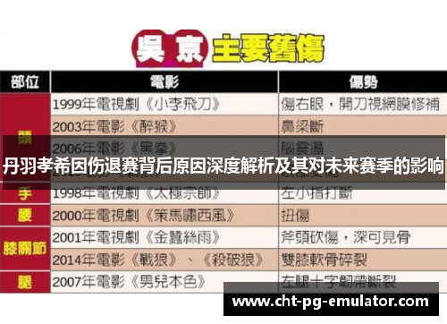 丹羽孝希因伤退赛背后原因深度解析及其对未来赛季的影响
